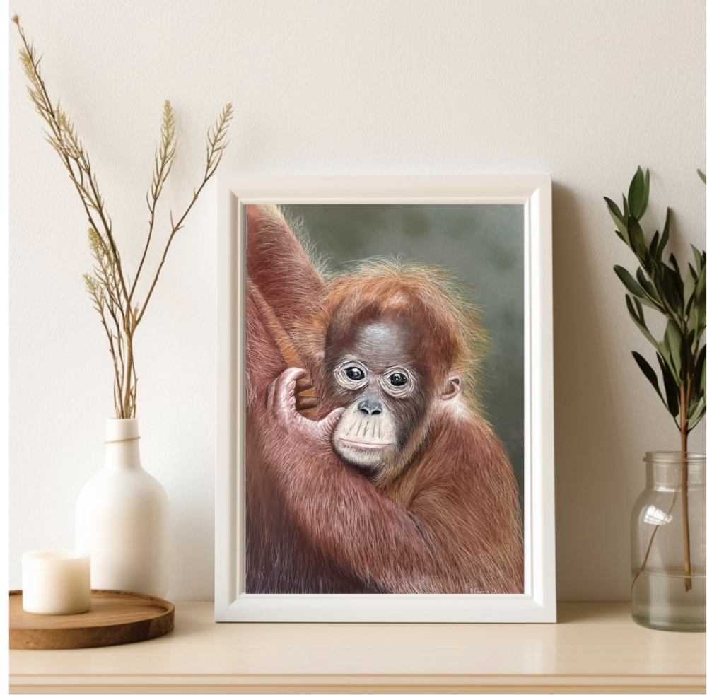 Baby orang u tang
