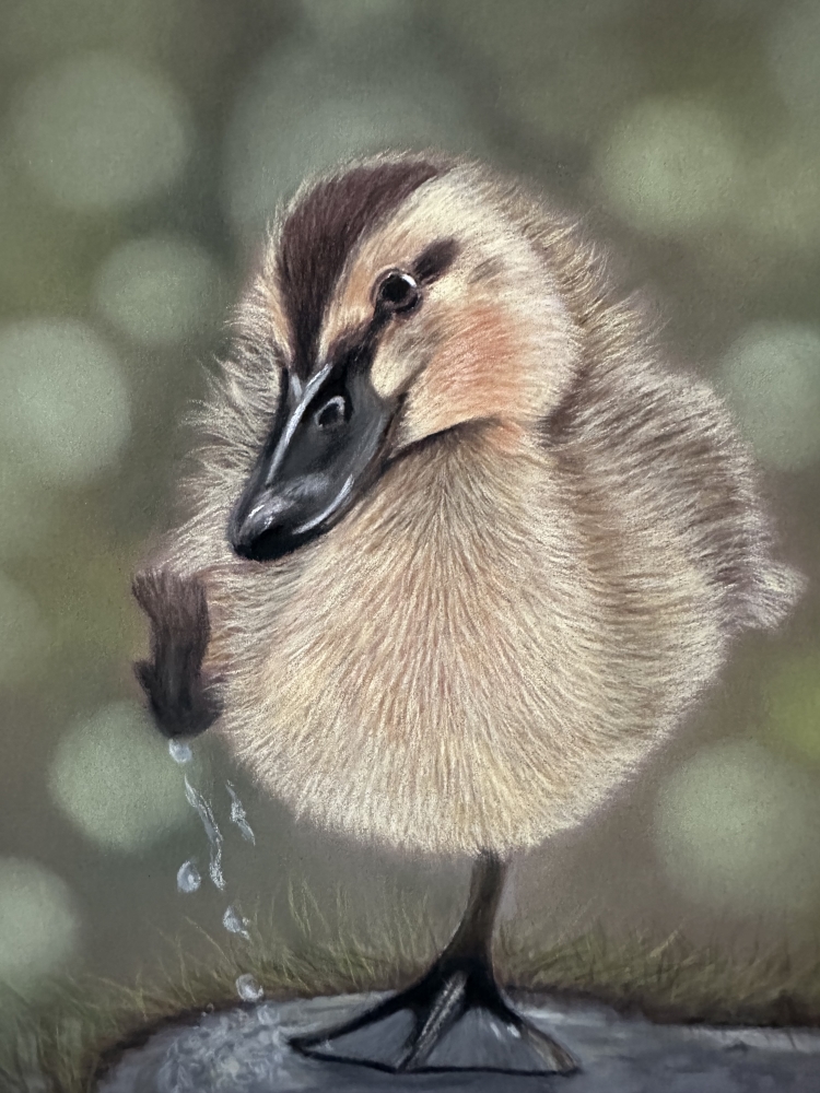 Duckling