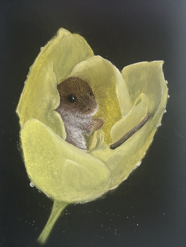 Mouse in tulip
