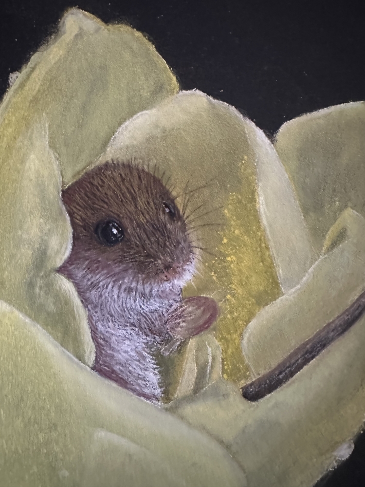 Mouse in tulip