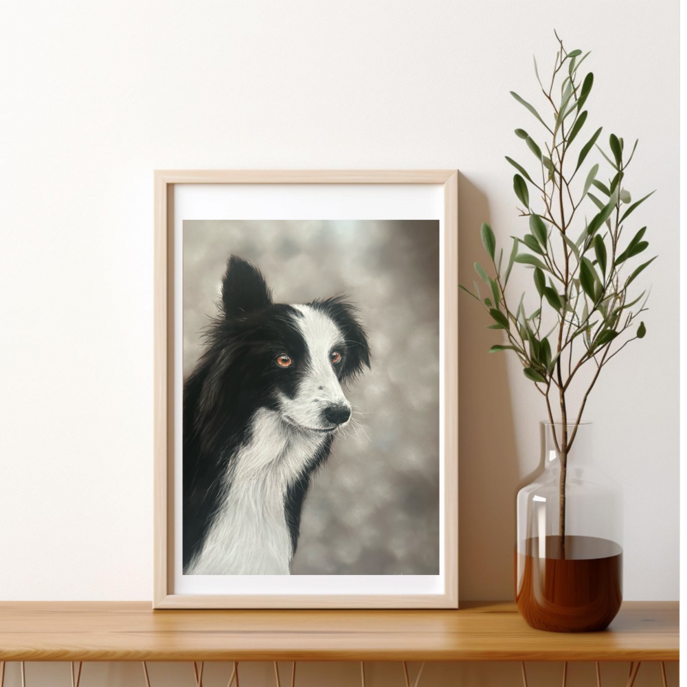 Collie dog