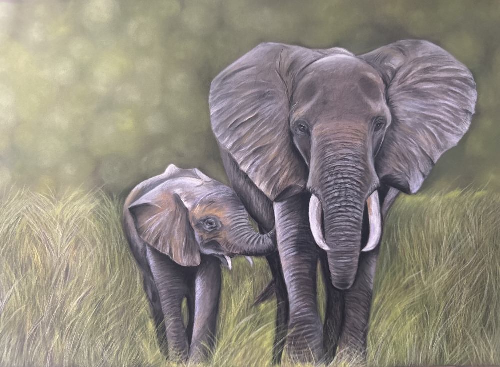 Elephants