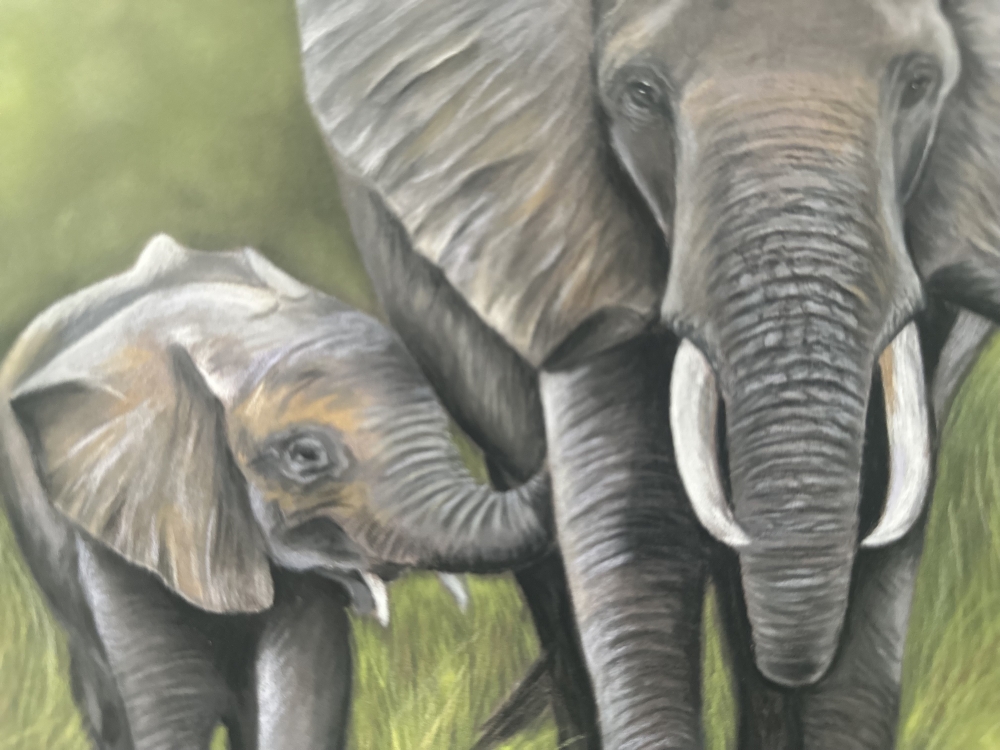 Elephants