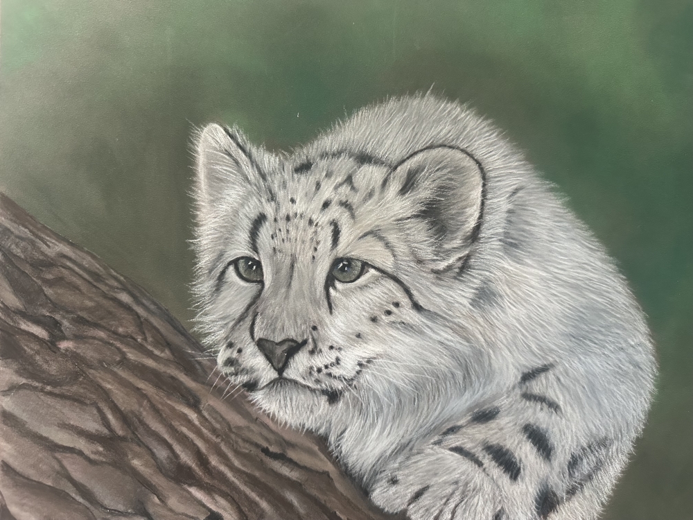 Snow leopard
