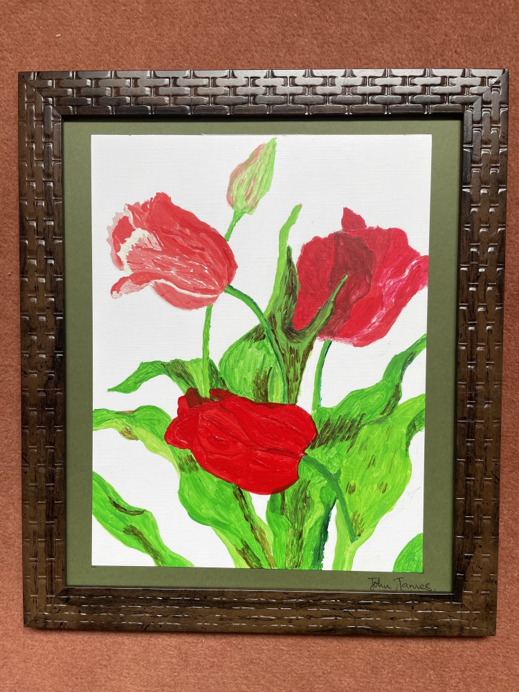 Red Tulips