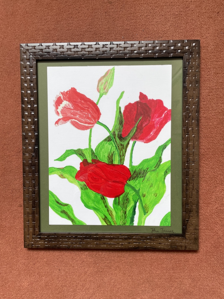 Red Tulips