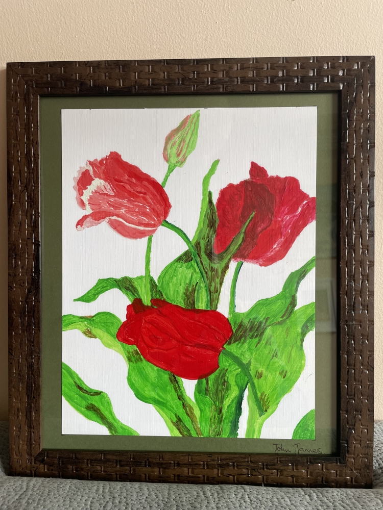 Red Tulips