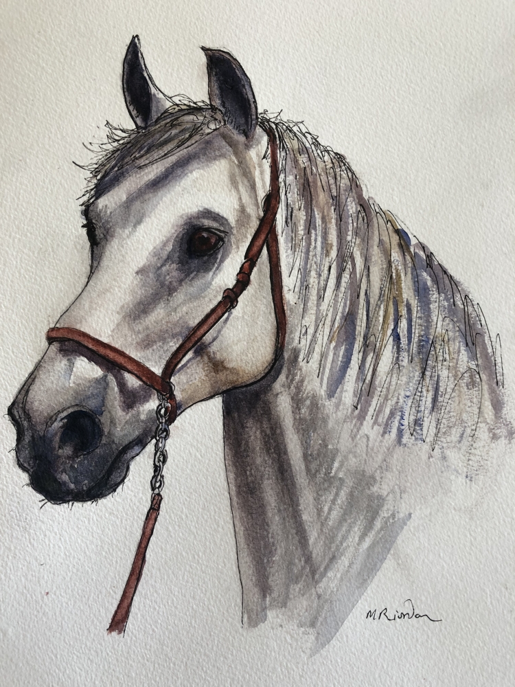Horse Head