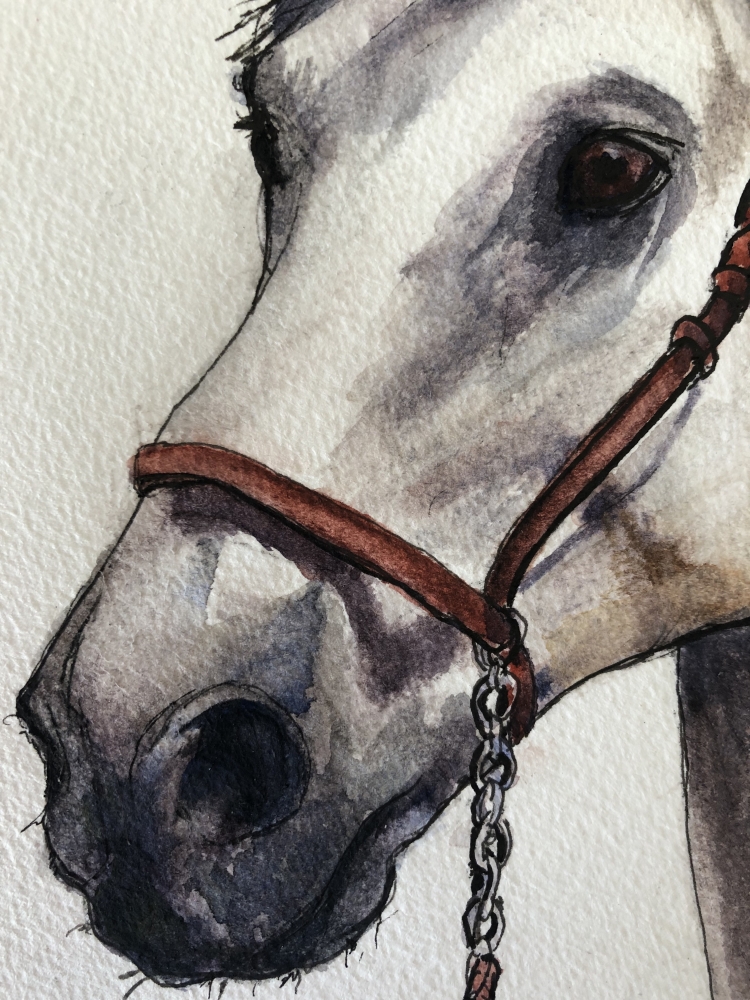Horse Head