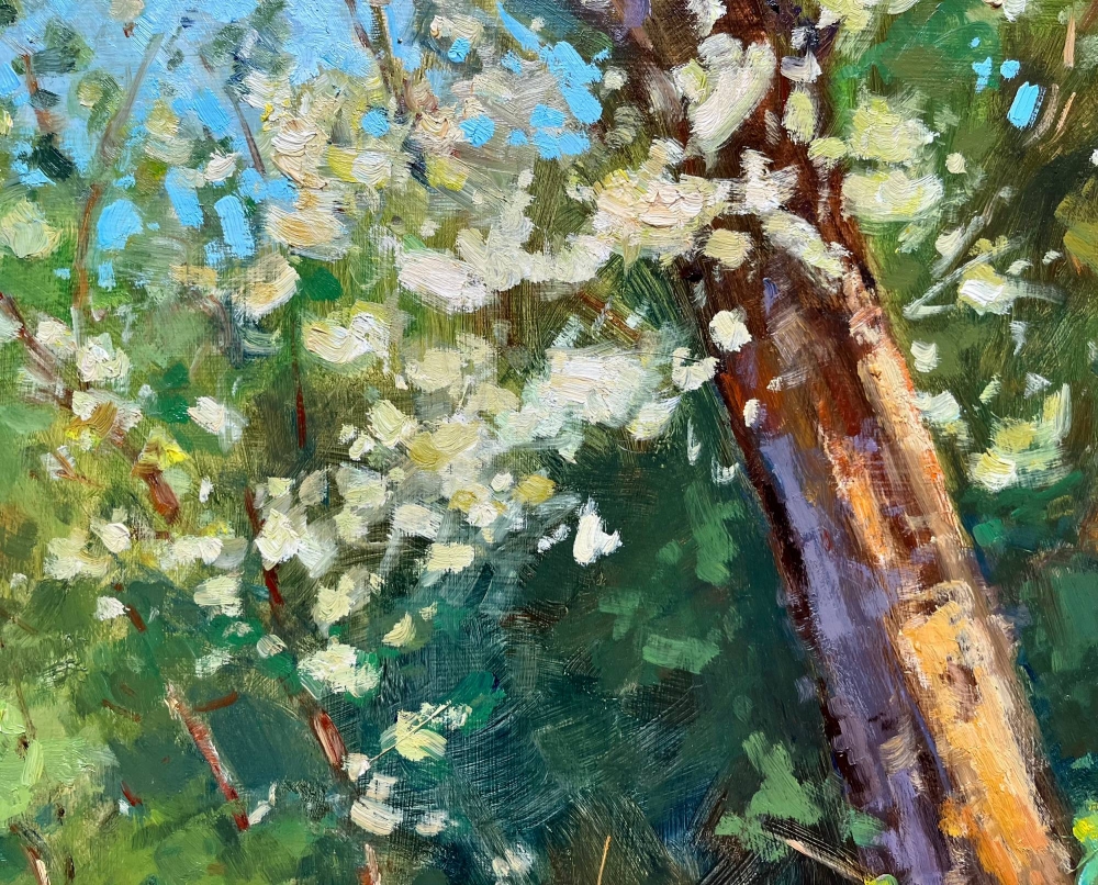 Spring's arrived