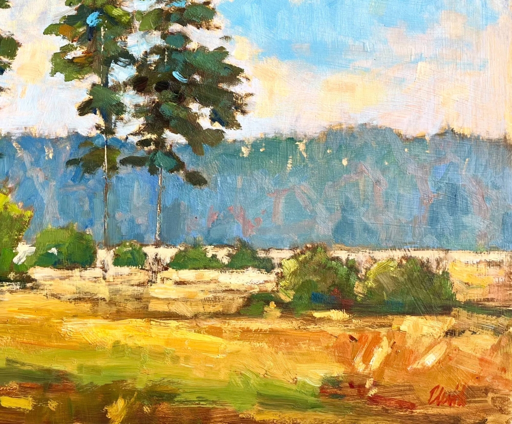 Evening Light