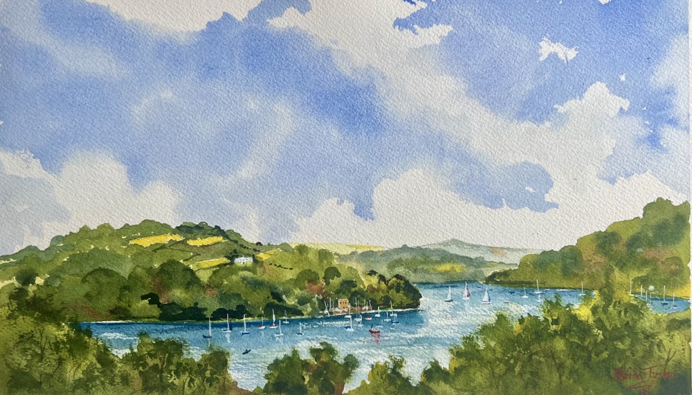 The river Dart near Dittisham