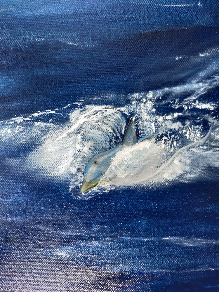 Dolphin cutting through the ocean as sunrise begins to emerge.