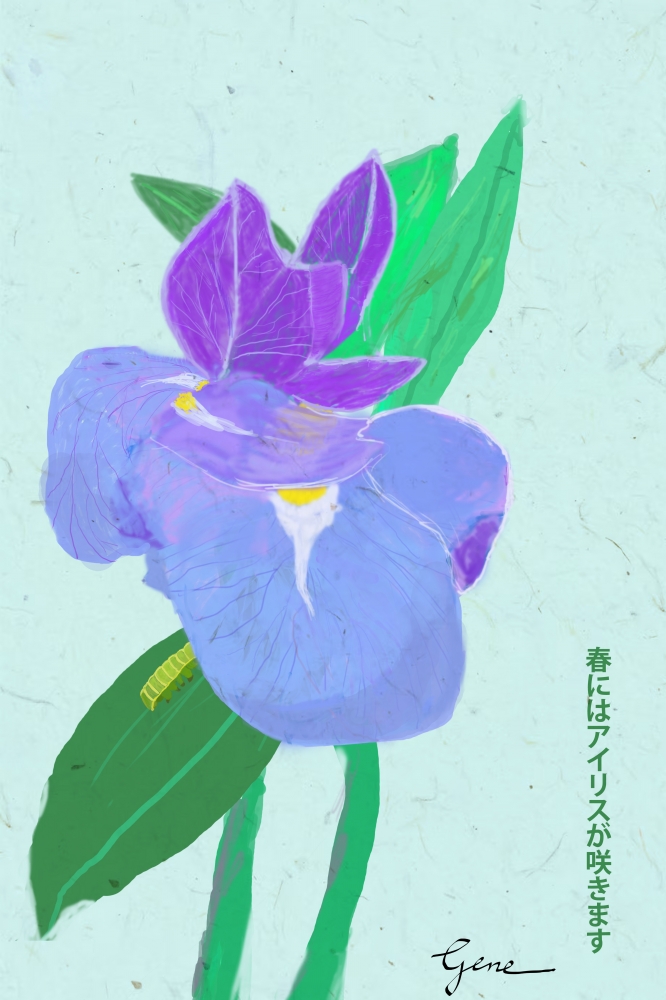 Iris Kanji II