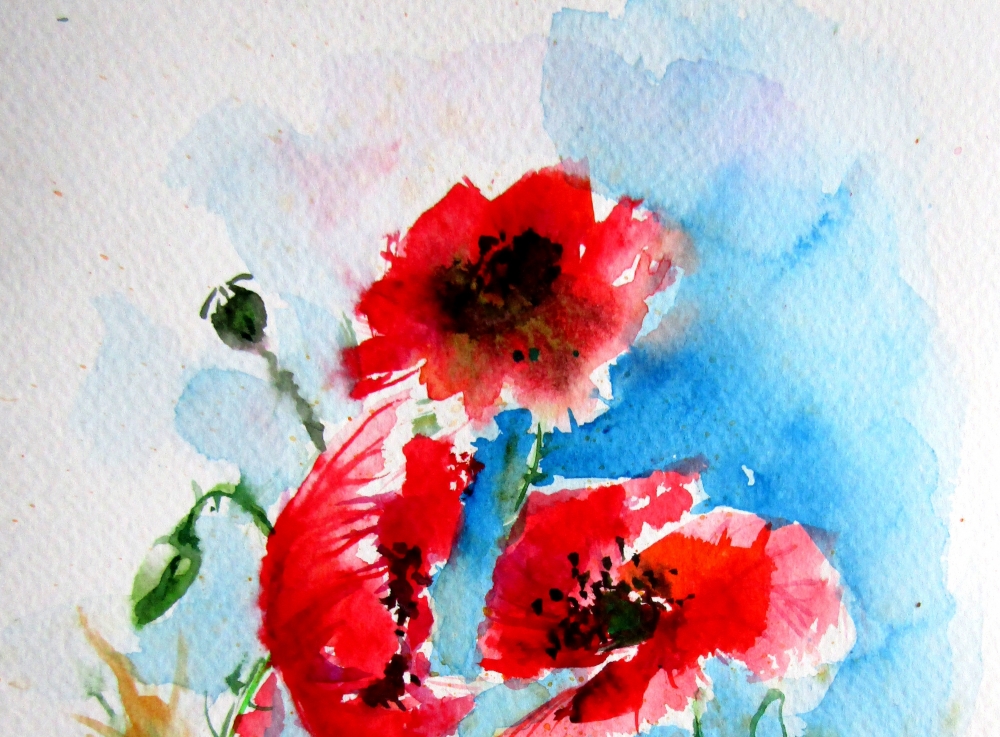 Little poppies 2