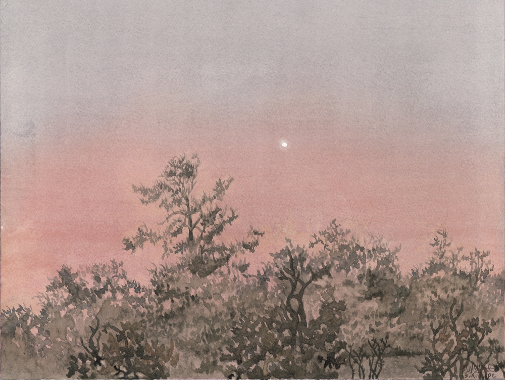 MORNING STAR