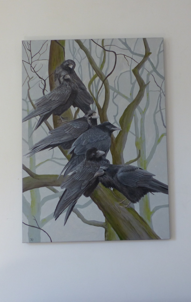 A family of Rooks (Corvus frugilegus)