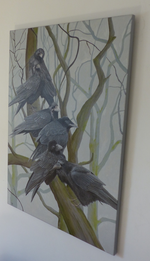 A family of Rooks (Corvus frugilegus)