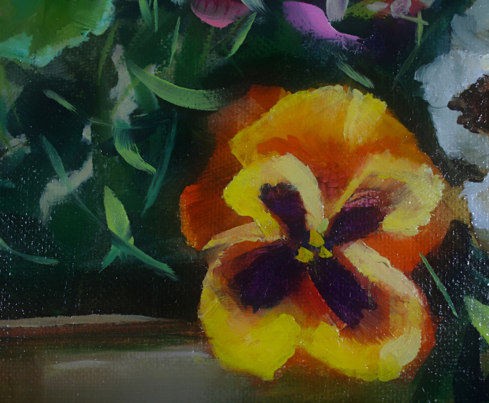 Pansies and Geraniums