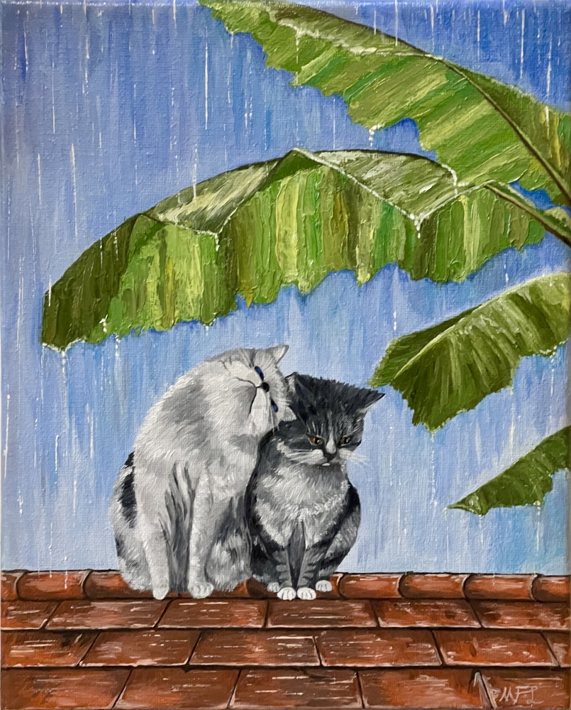 A Rainy Day