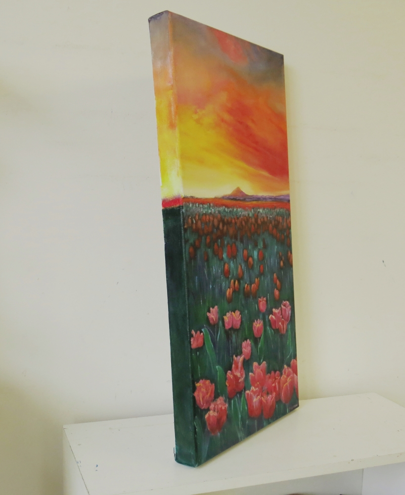 Sunset and Tulips