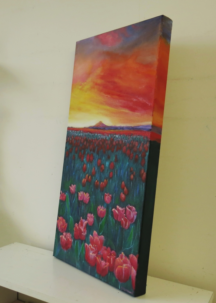 Sunset and Tulips
