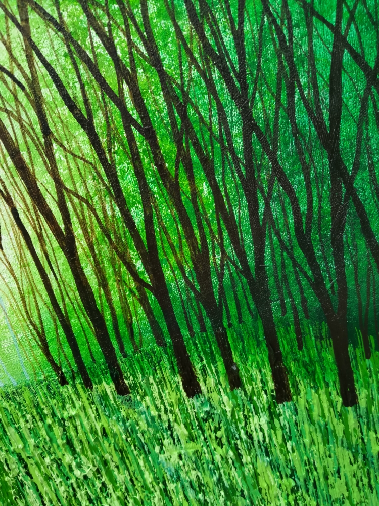 Tanglewood and Evergreen