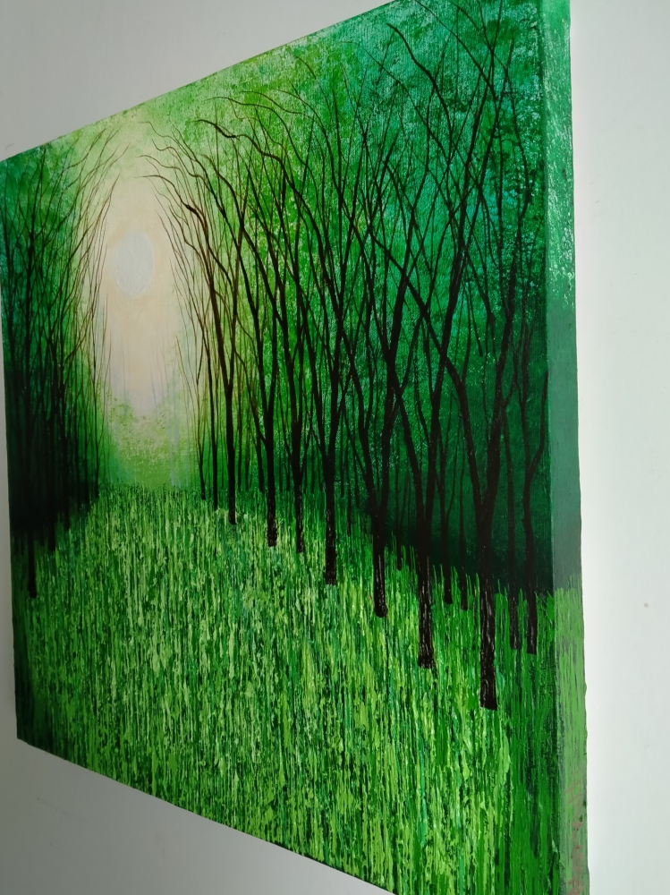 Tanglewood and Evergreen