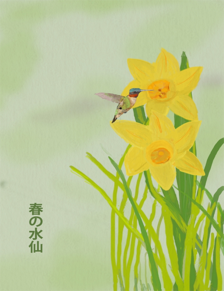 Daffodil Kanji Hummingbird