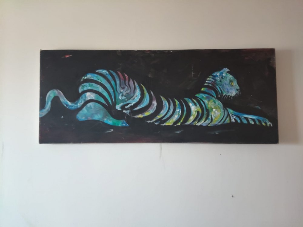 Tiger cat 