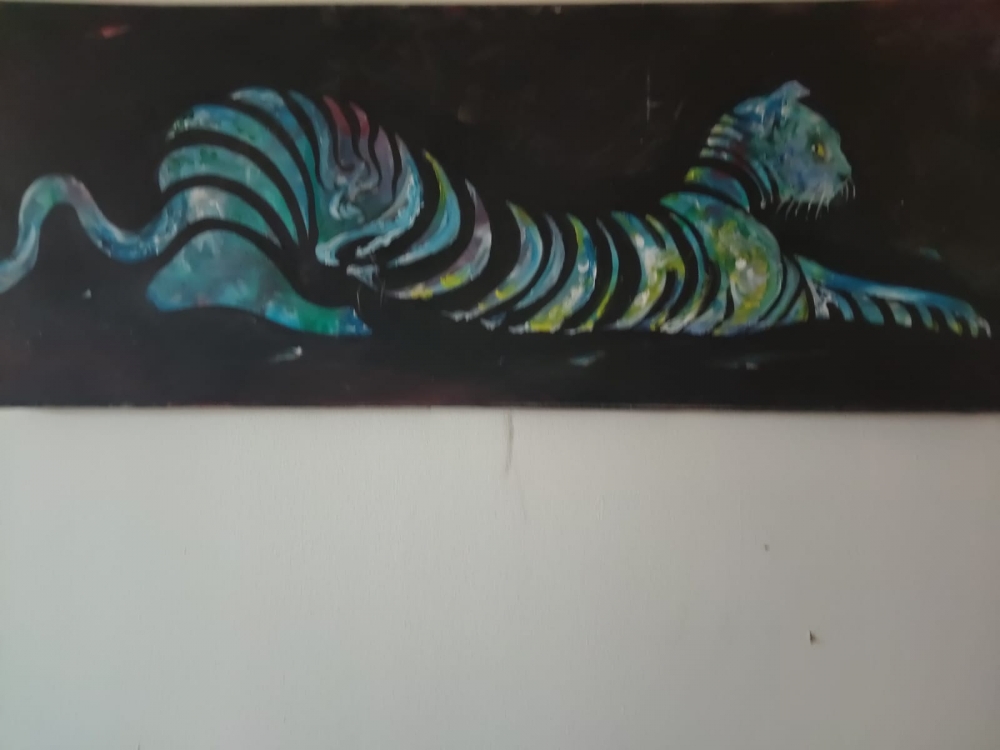 Tiger cat 