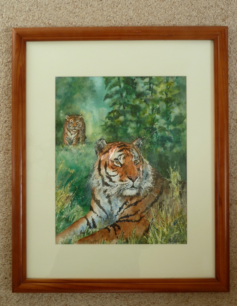 Tiger spotted