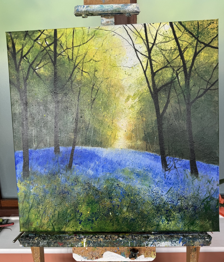 Warm Light Through Bluebell Woods