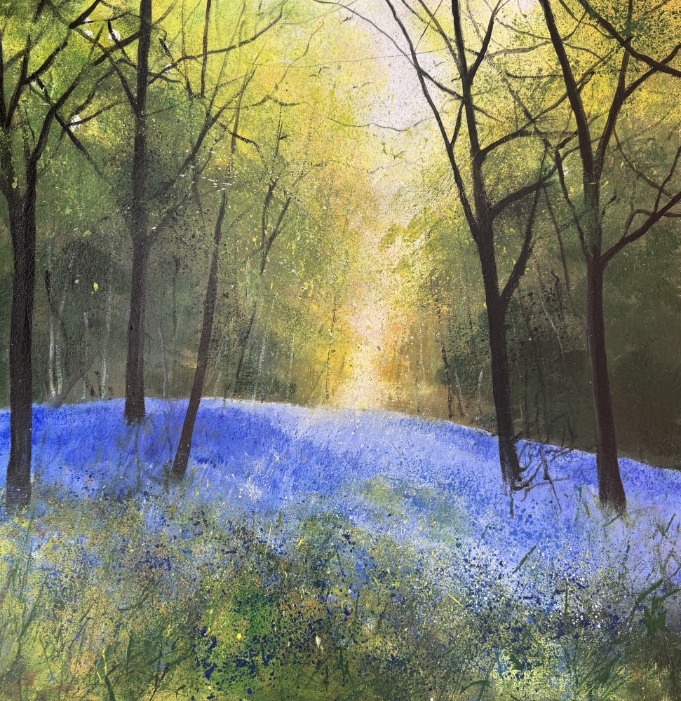 Warm Light Through Bluebell Woods