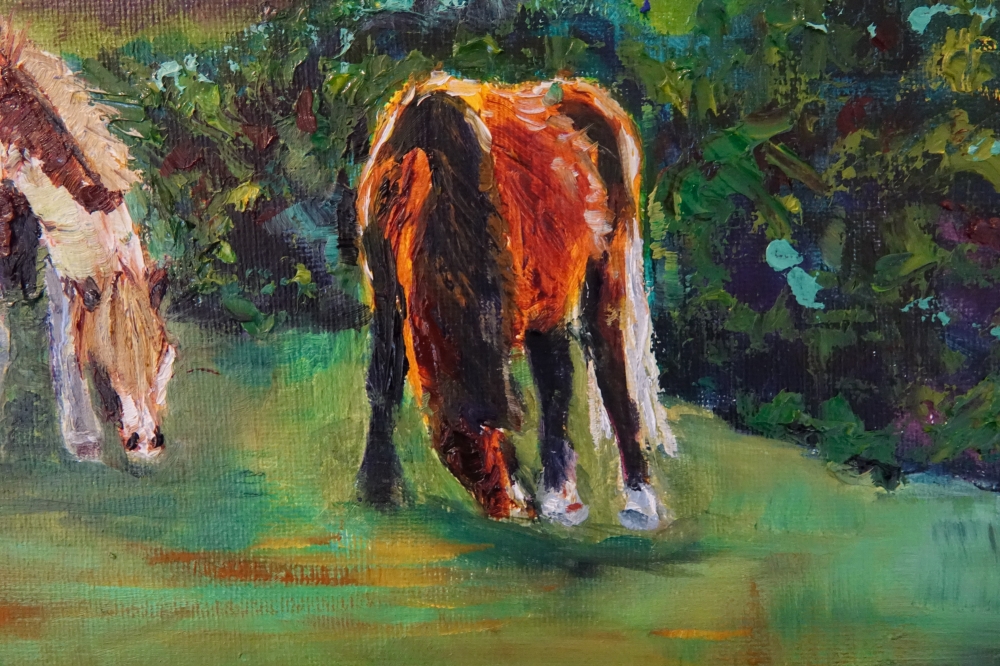 Wild Welsh Horses