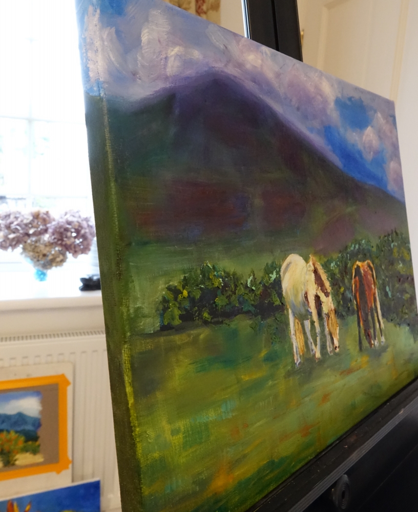 Wild Welsh Horses