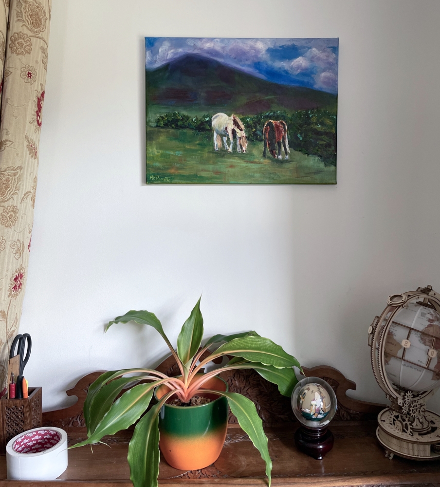 Wild Welsh Horses