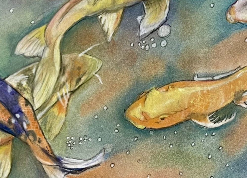 Koi Ballet