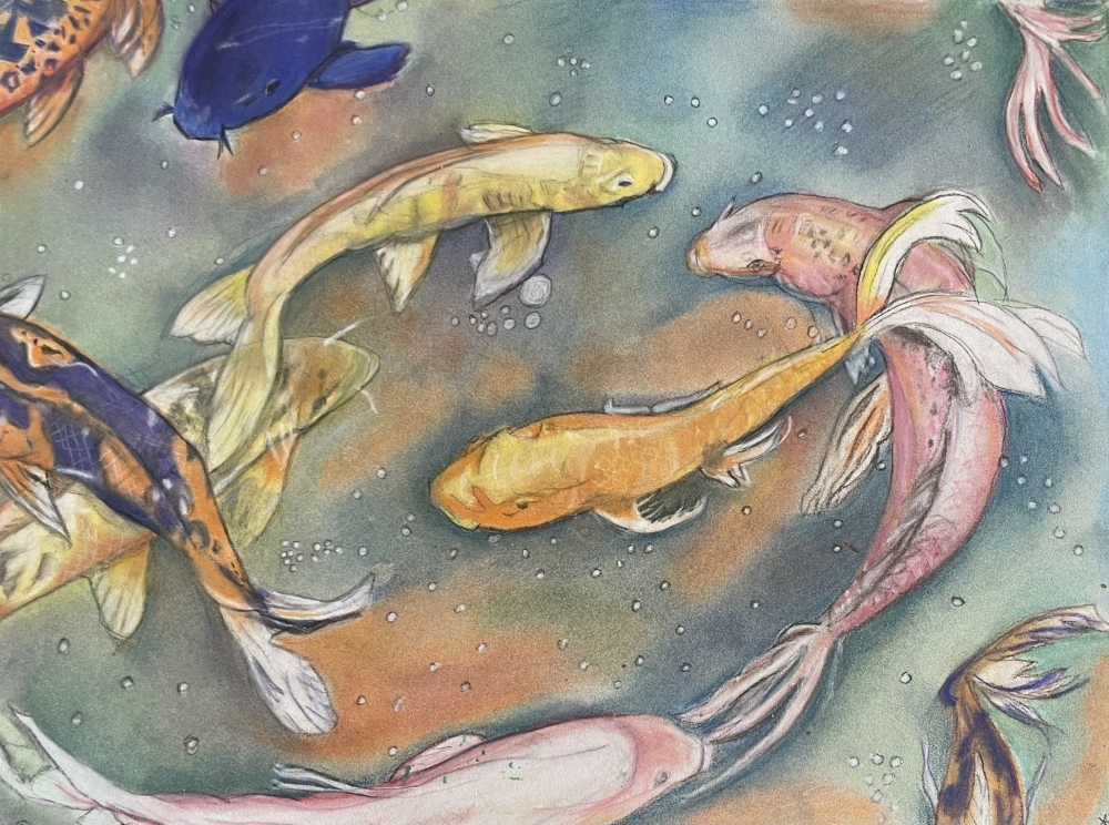Koi Ballet