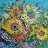 Sunflower field