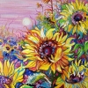 Sunflower Field in the Sunset Light