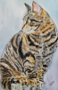 Portrait of a Cat
