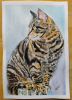 Portrait of a Cat