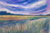 View of the Cornfield