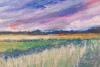 View of the Cornfield