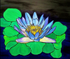 Blue Water Lily