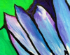 Blue Water Lily