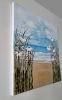 Daisies at the beach 