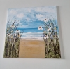 Daisies at the beach 