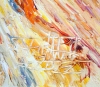 Development 1 / Oil